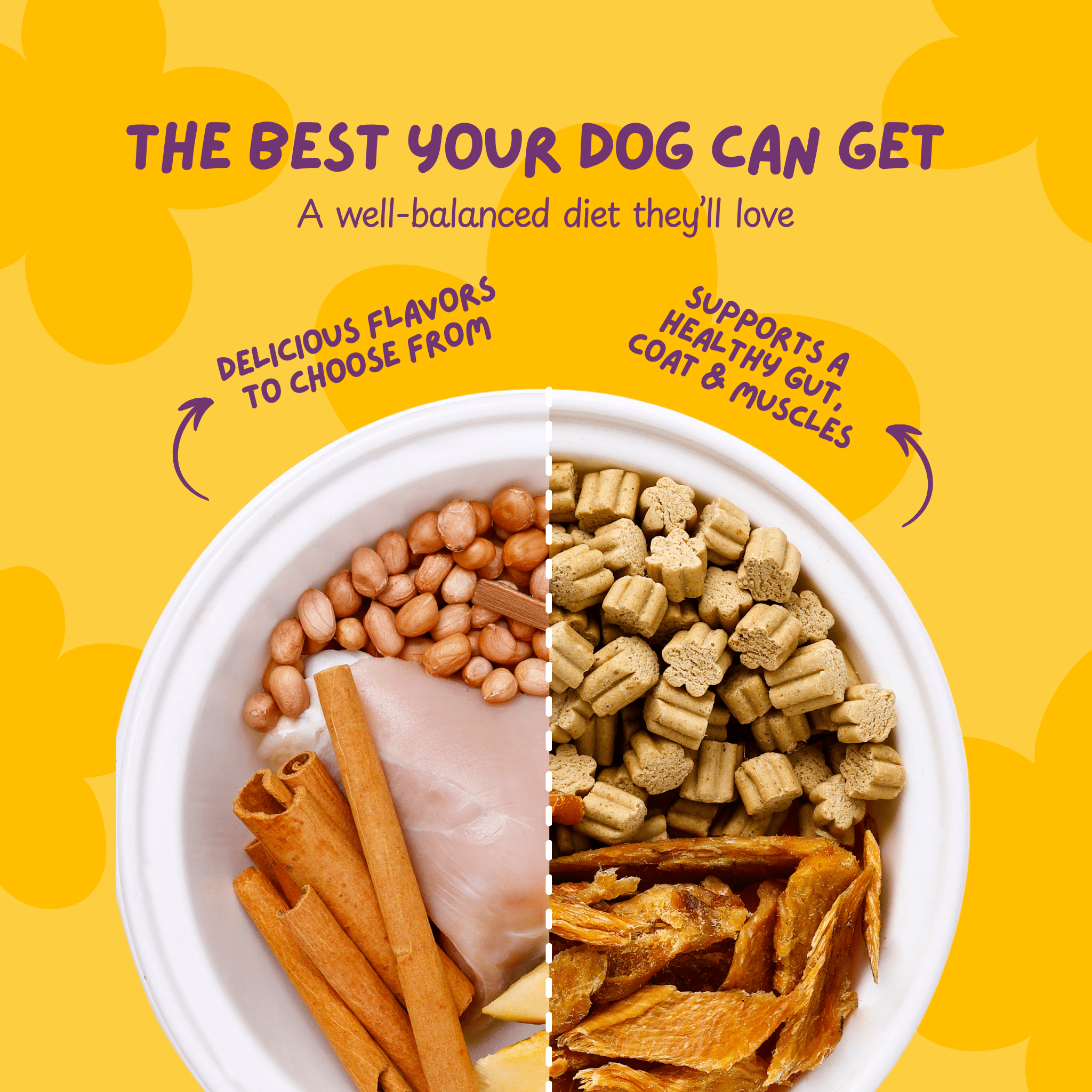 Barky Bite Box – The Ultimate Healthy Dog Treats! - Poochyx