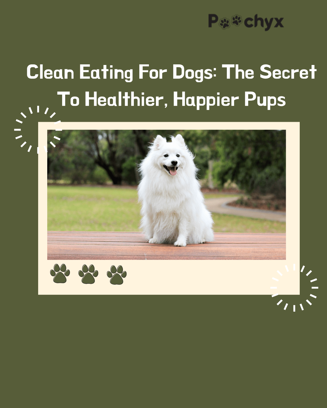 Clean Eating For Dogs: The Secret To Healthier, Happier Pups - Poochyx