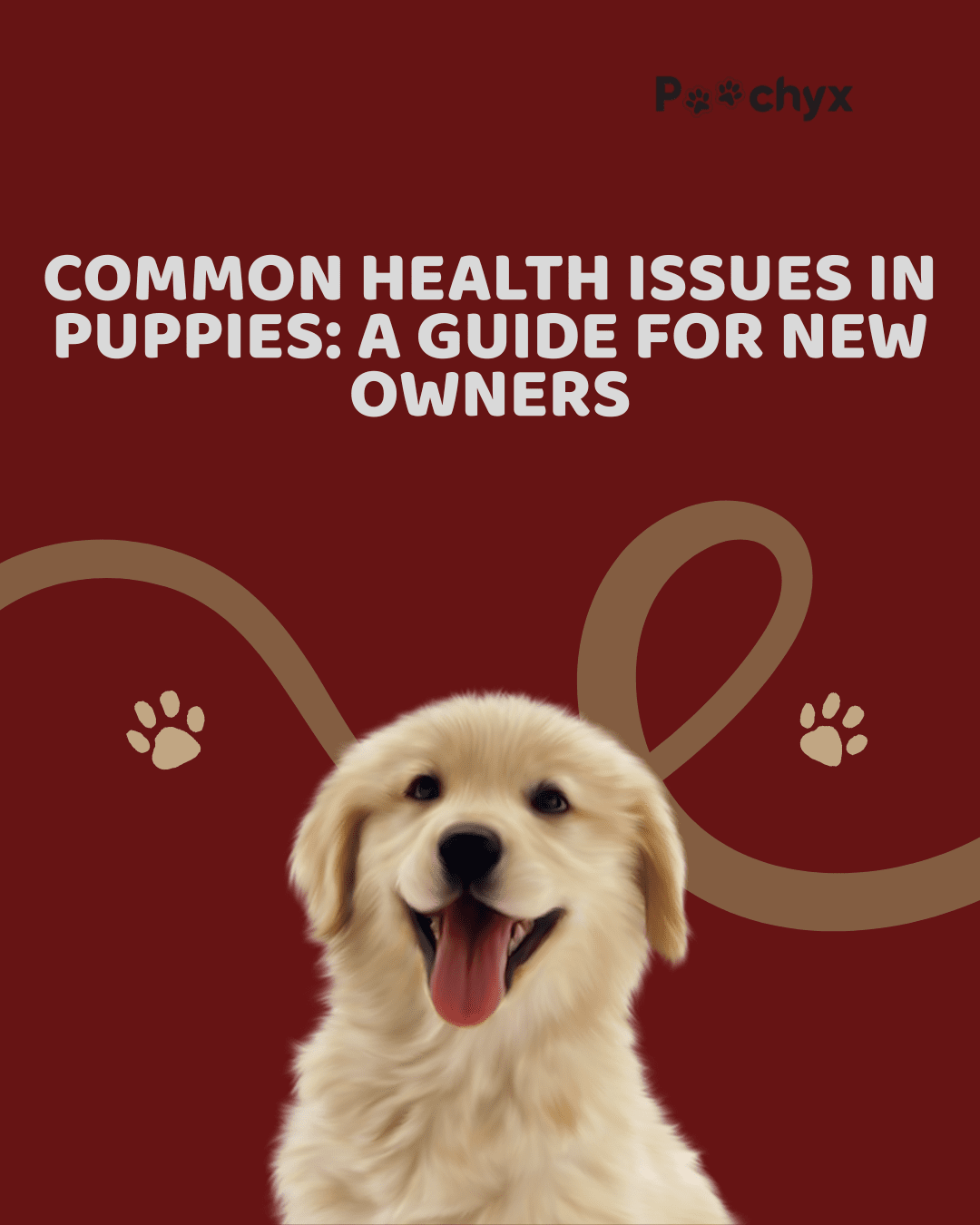 Common Health Issues in Puppies: A Guide for Pet Owners - Poochyx