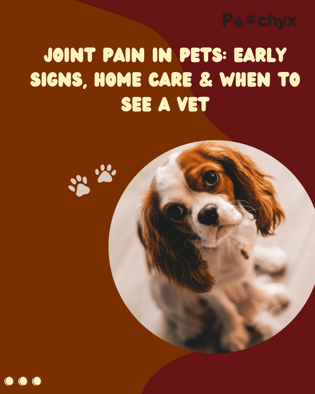 Dogs' Joint Pain Treatment: How To Help a Dog with Arthritis - Poochyx