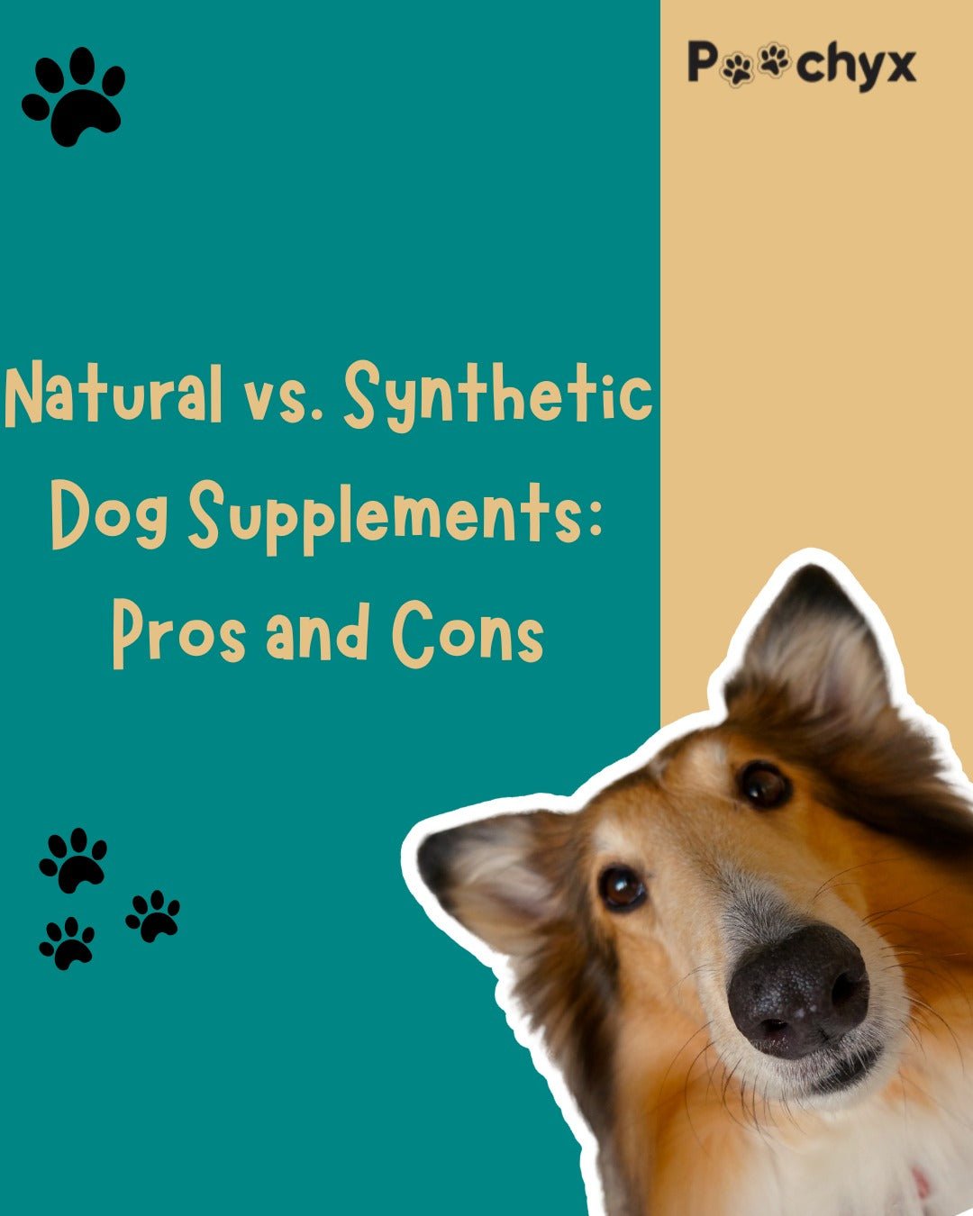 Natural vs. Synthetic Dog Supplements: Pros and Cons - Poochyx