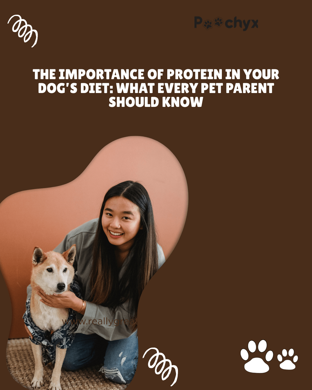 The Importance of Protein in Your Dog’s Diet: What Every Pet Parent Should Know - Poochyx