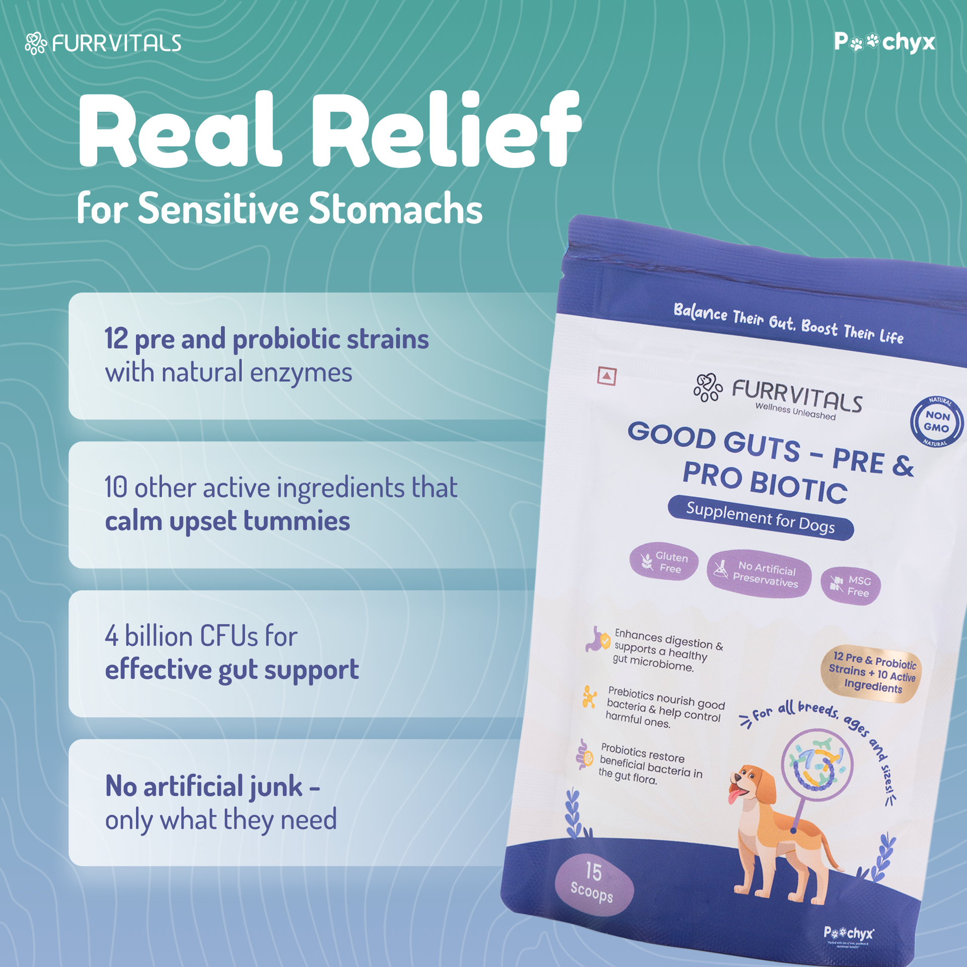 Good Guts - Pre & ProBiotic Supplements