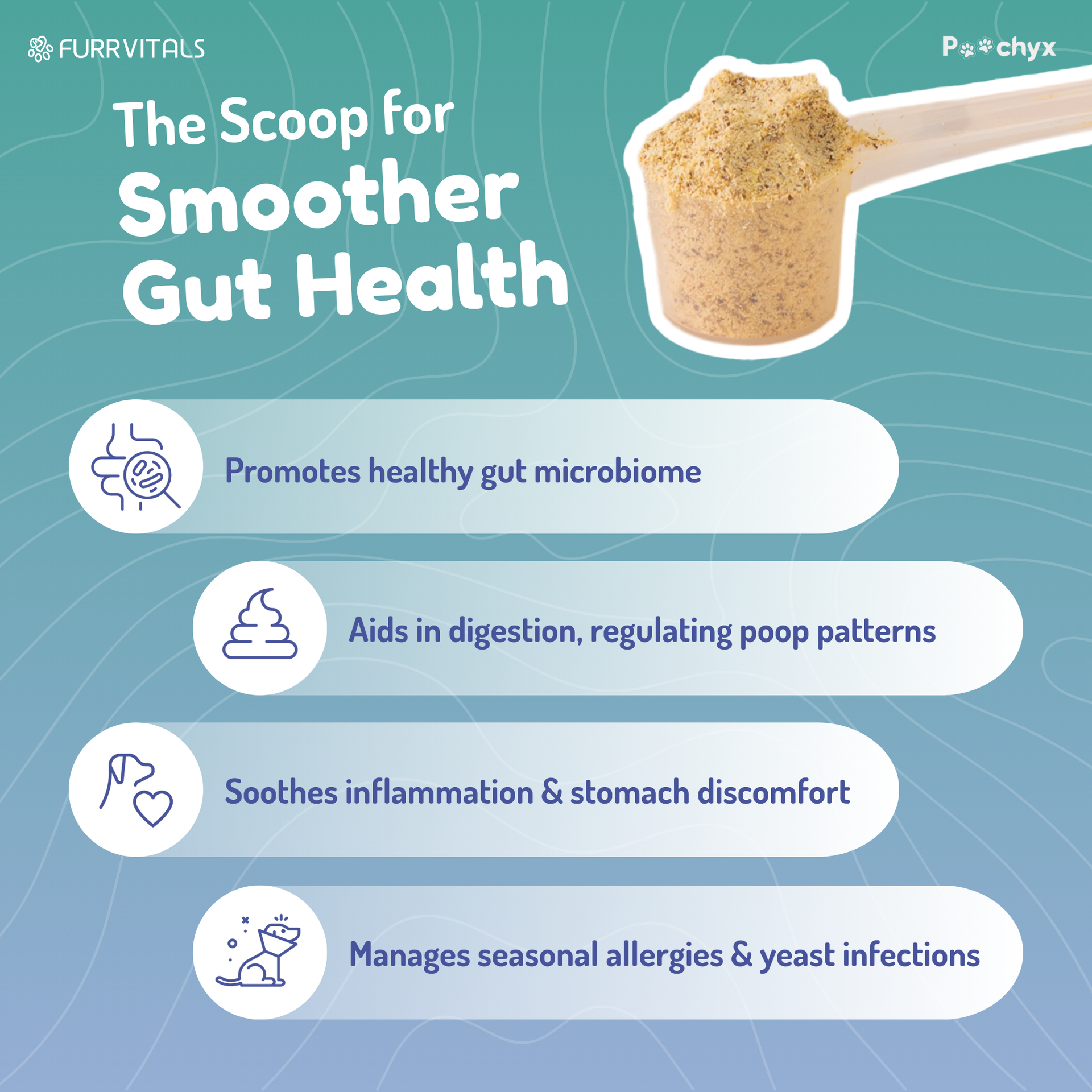 Good Guts - Pre & ProBiotic Supplements