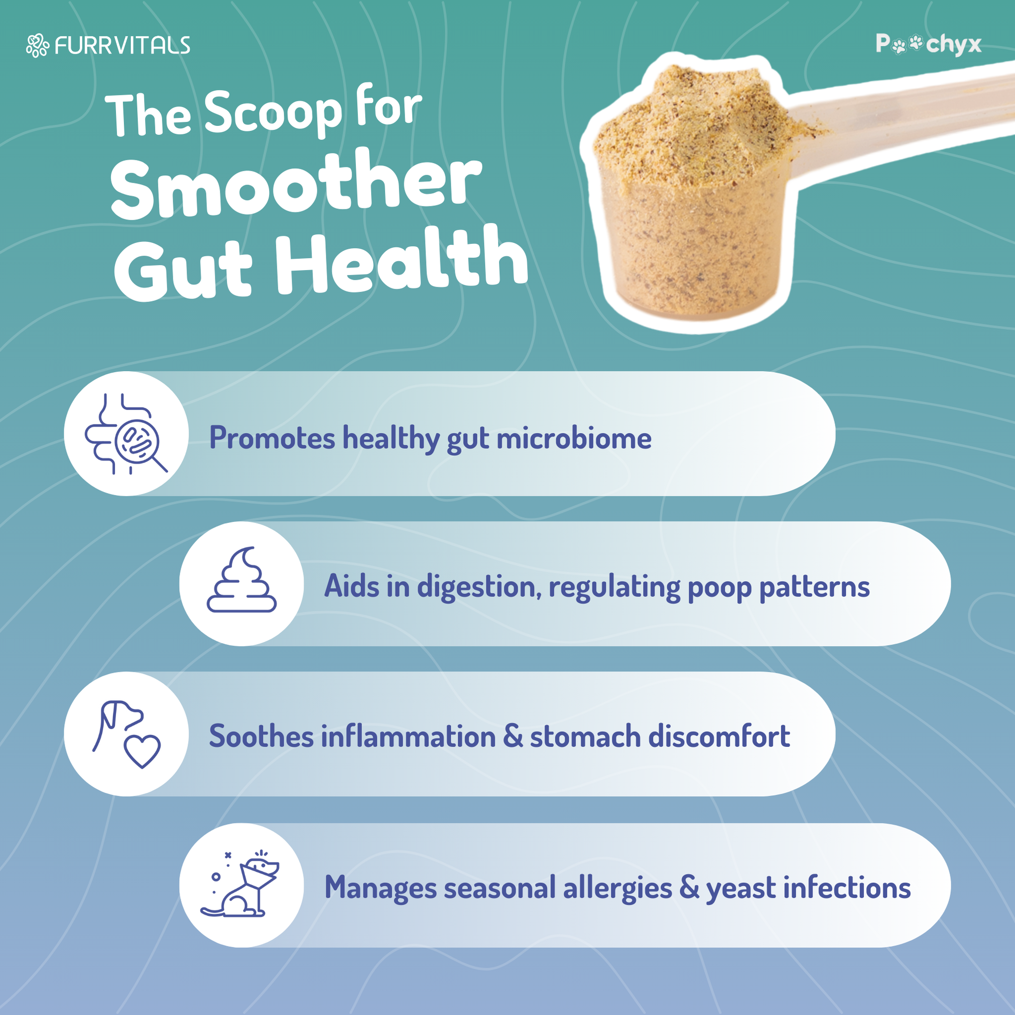 Good Guts - Pre & ProBiotic Supplements