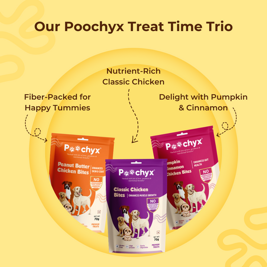 Treat Time Trio