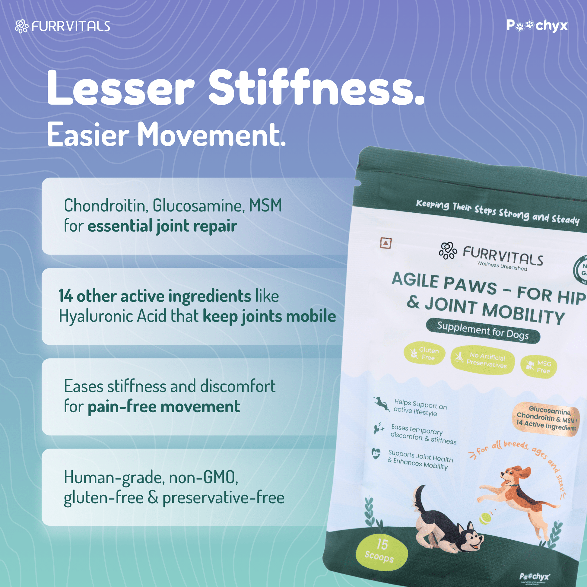 Agile Paws - Hip & Joint Mobility Supplements - Poochyx