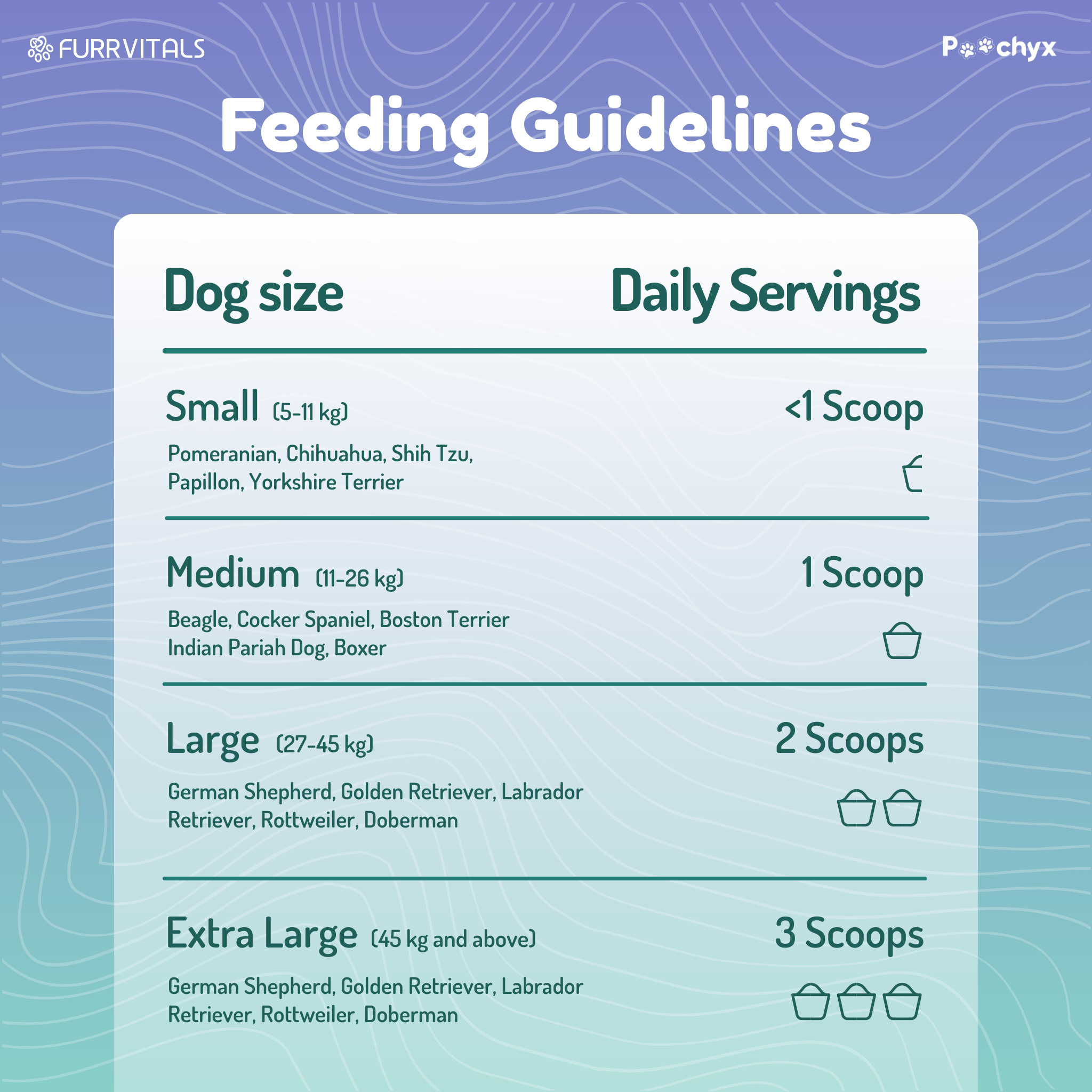 Agile Paws - Hip & Joint Mobility Supplements - Poochyx