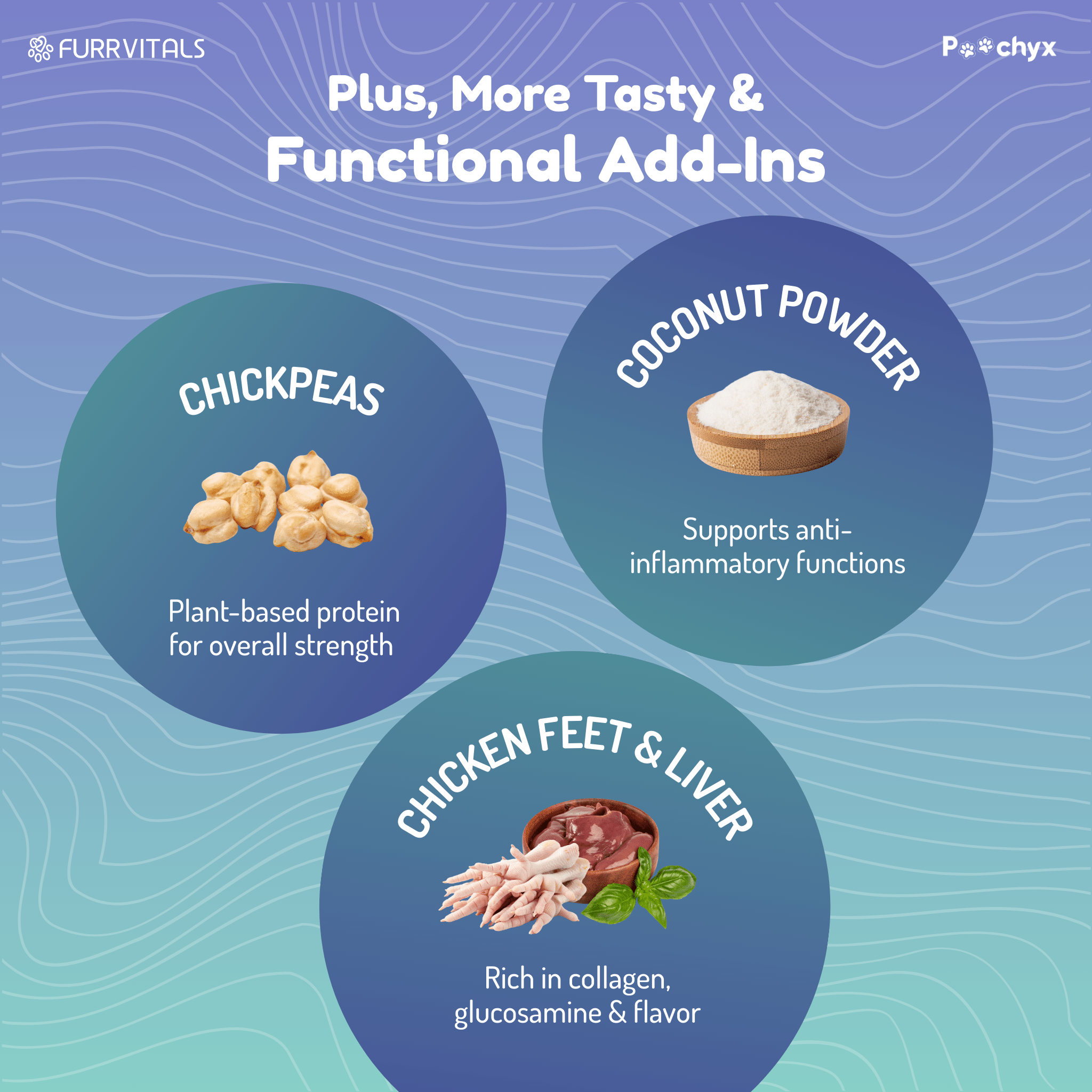 Agile Paws - Hip & Joint Mobility Supplements - Poochyx