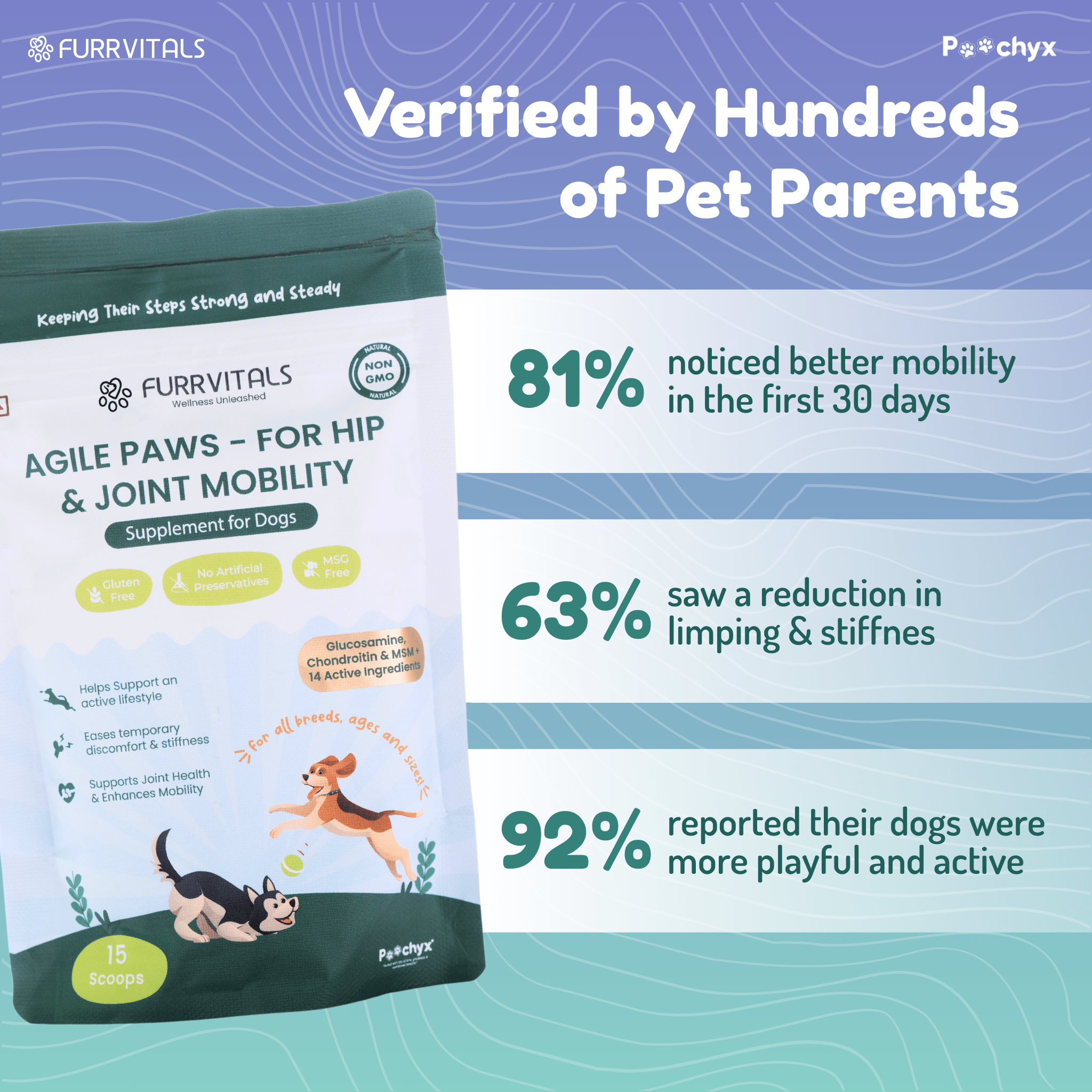 Agile Paws - Hip & Joint Mobility Supplements - Poochyx