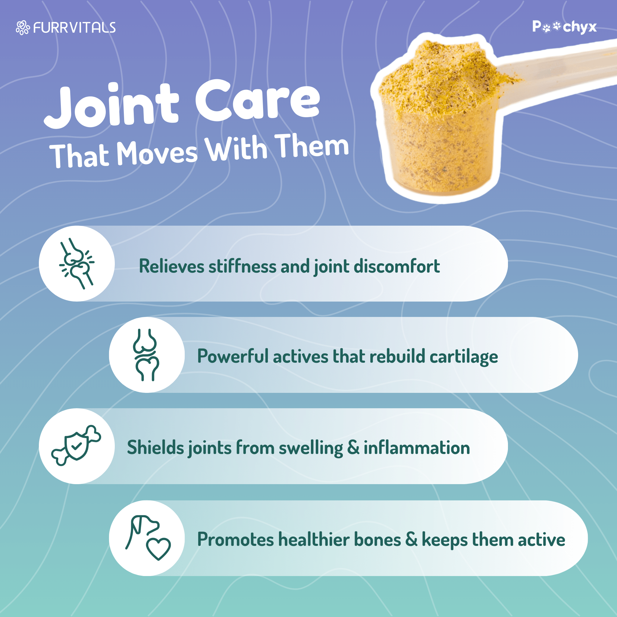 Agile Paws - Hip & Joint Mobility Supplements - Poochyx