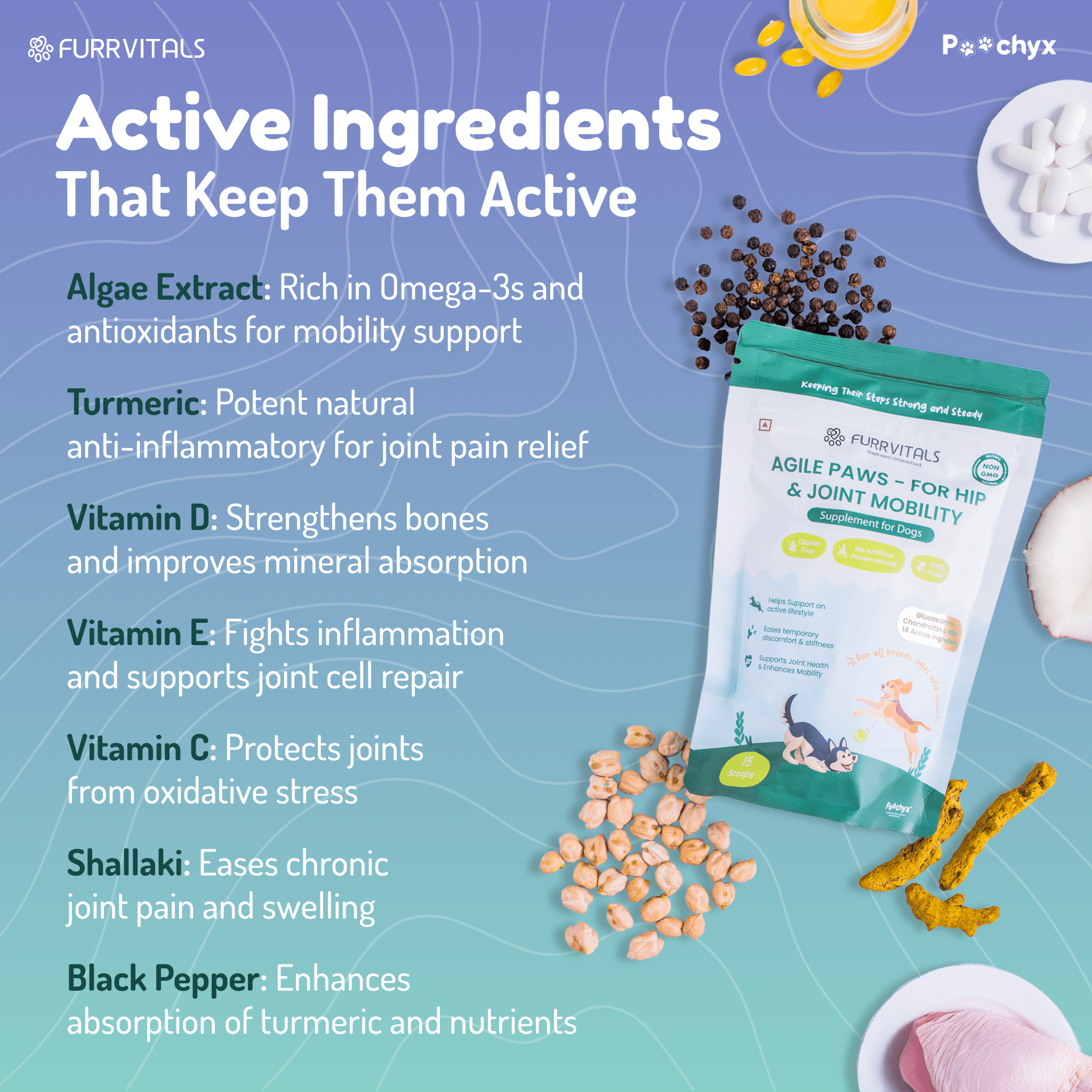 Agile Paws - Hip & Joint Mobility Supplements - Poochyx