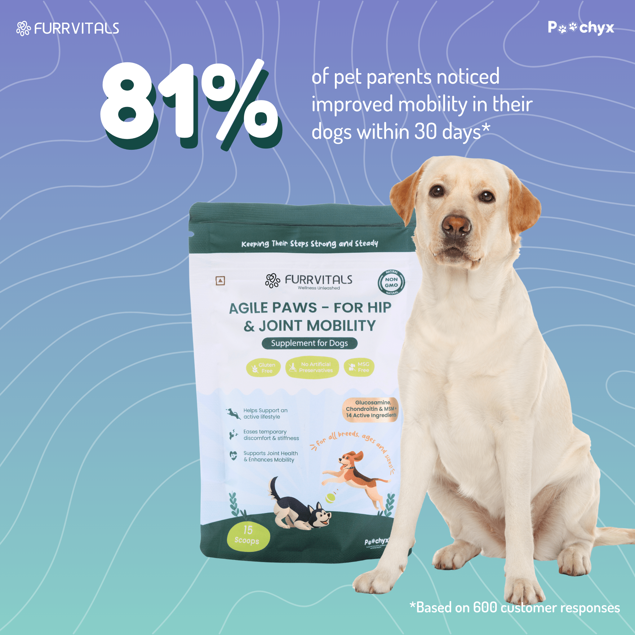 Agile Paws - Hip & Joint Mobility Supplements - Poochyx