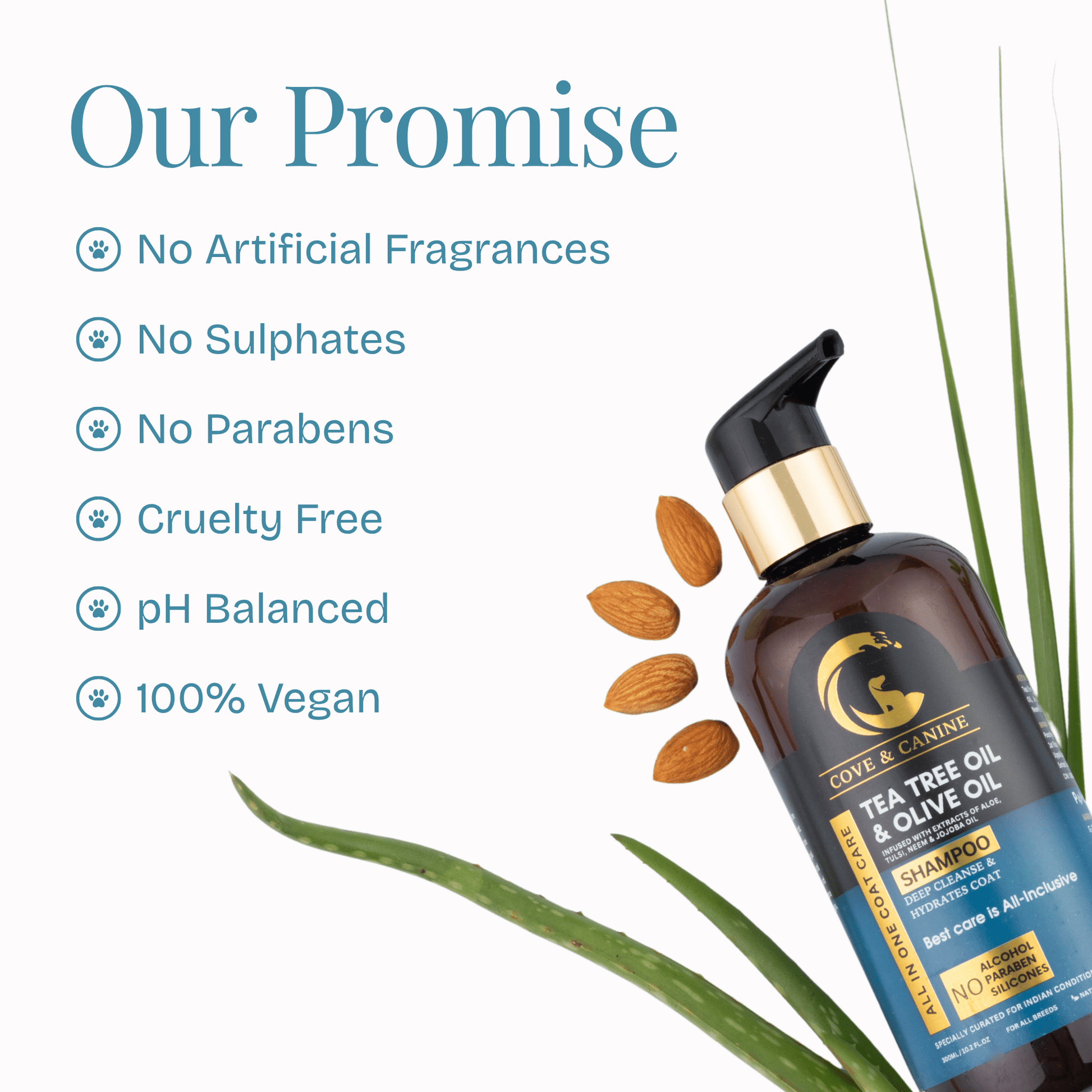 All in One Coat Care Shampoo - Poochyx