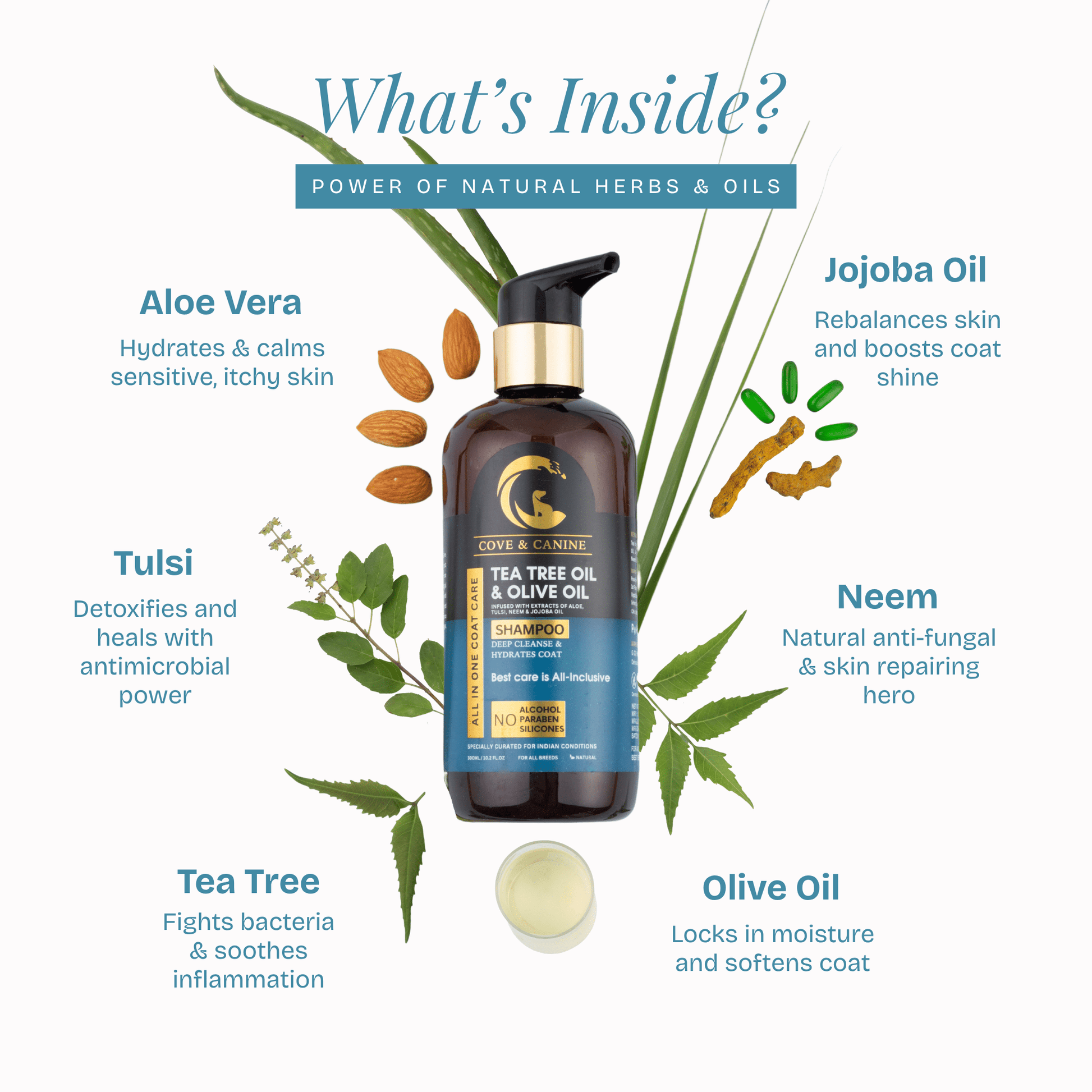 All in One Coat Care Shampoo - Poochyx