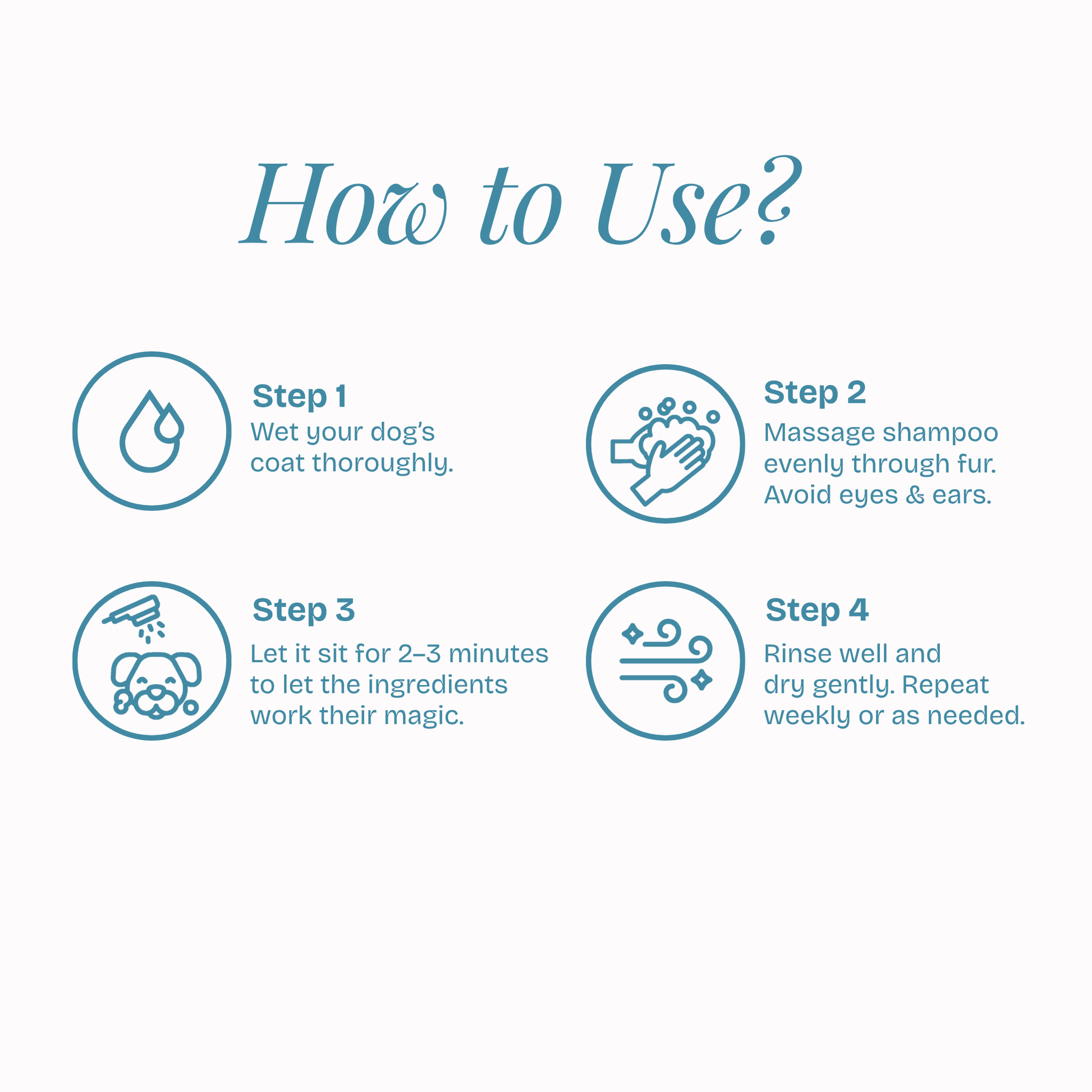 All in One Coat Care Shampoo - Poochyx