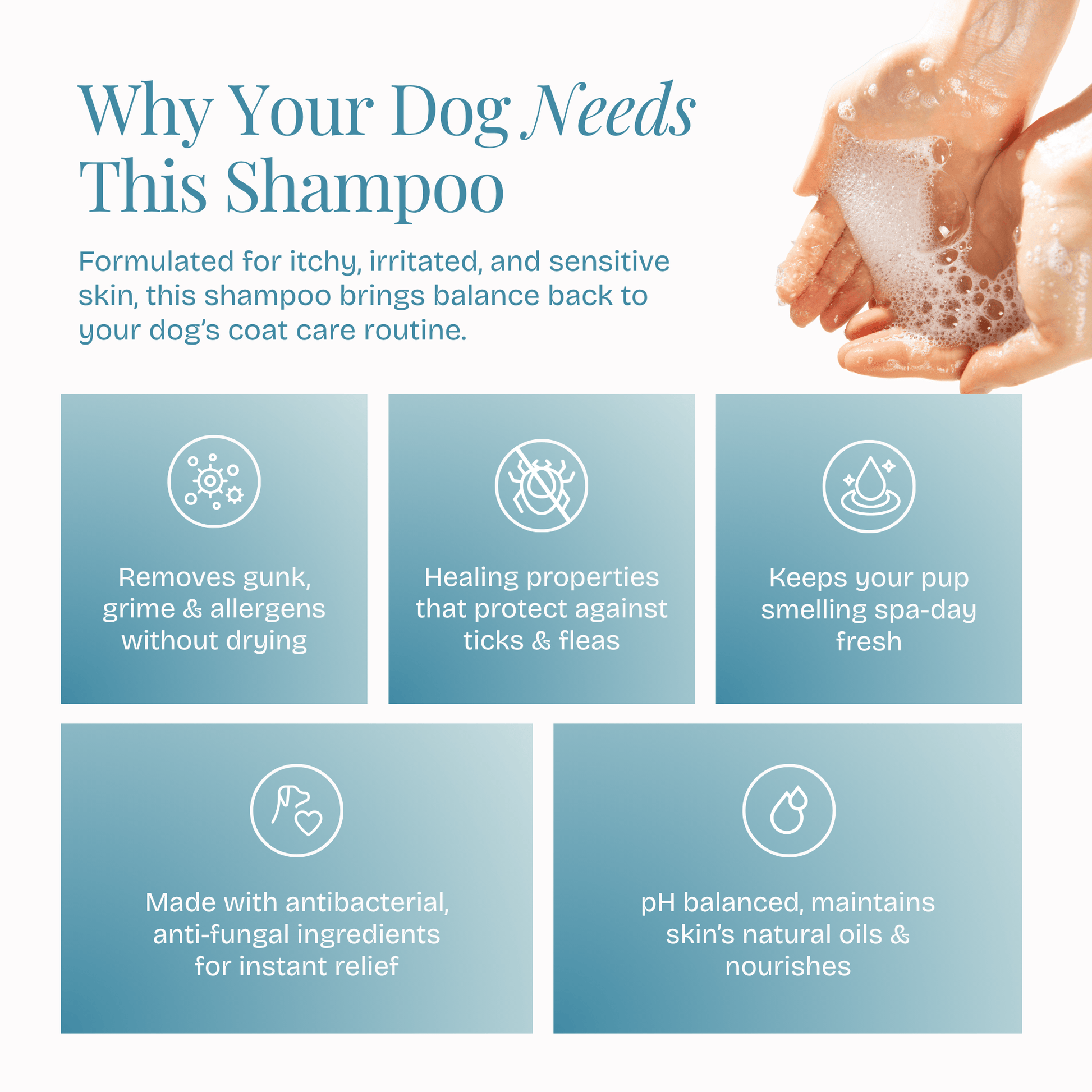 All in One Coat Care Shampoo - Poochyx