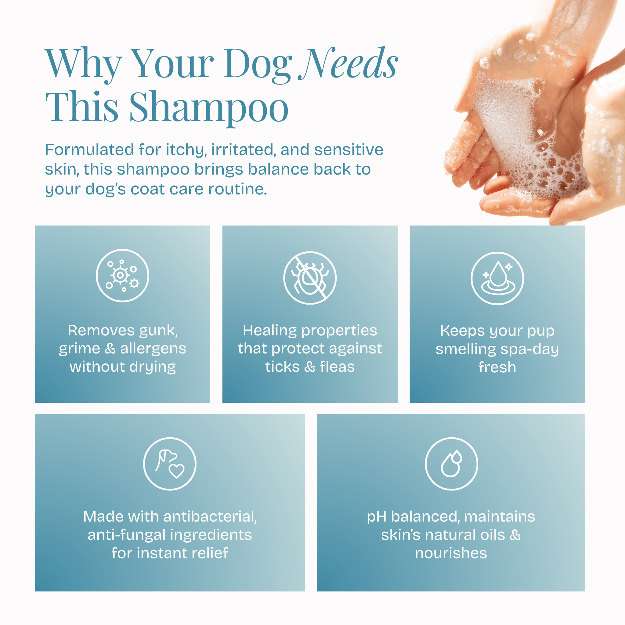 All in One Coat Care Shampoo - Poochyx