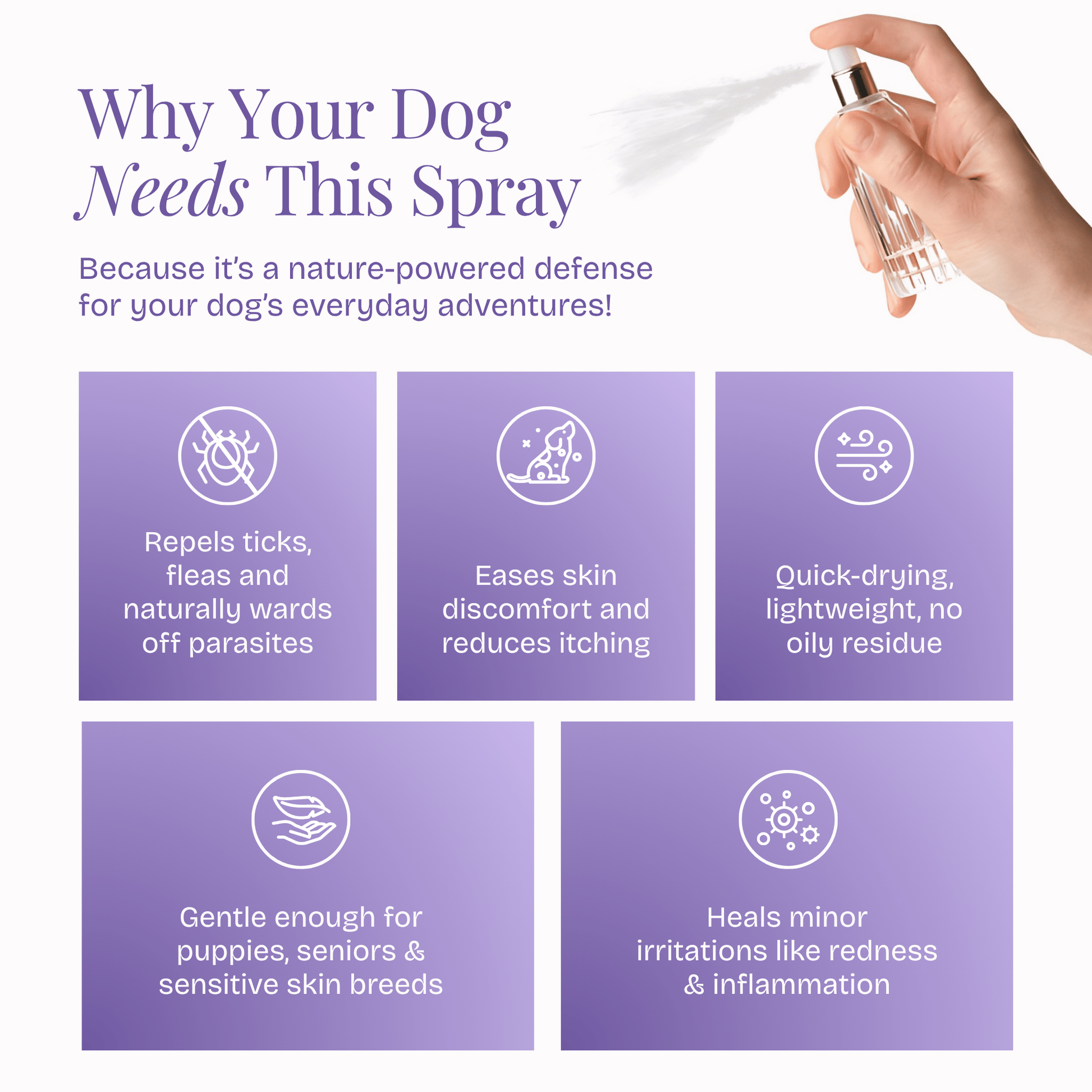 Anti Tick & Flea Spray - Poochyx