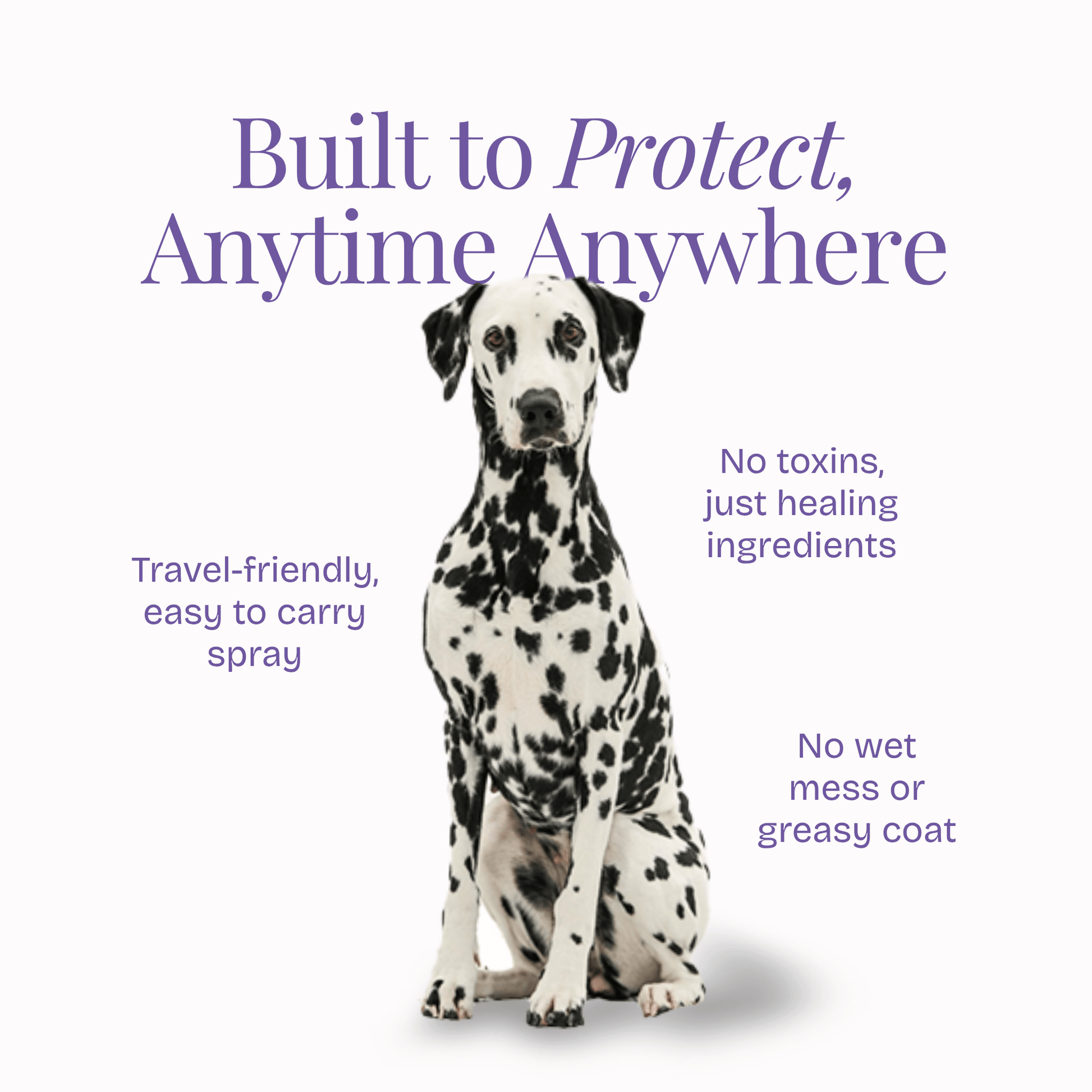 Anti Tick & Flea Spray - Poochyx