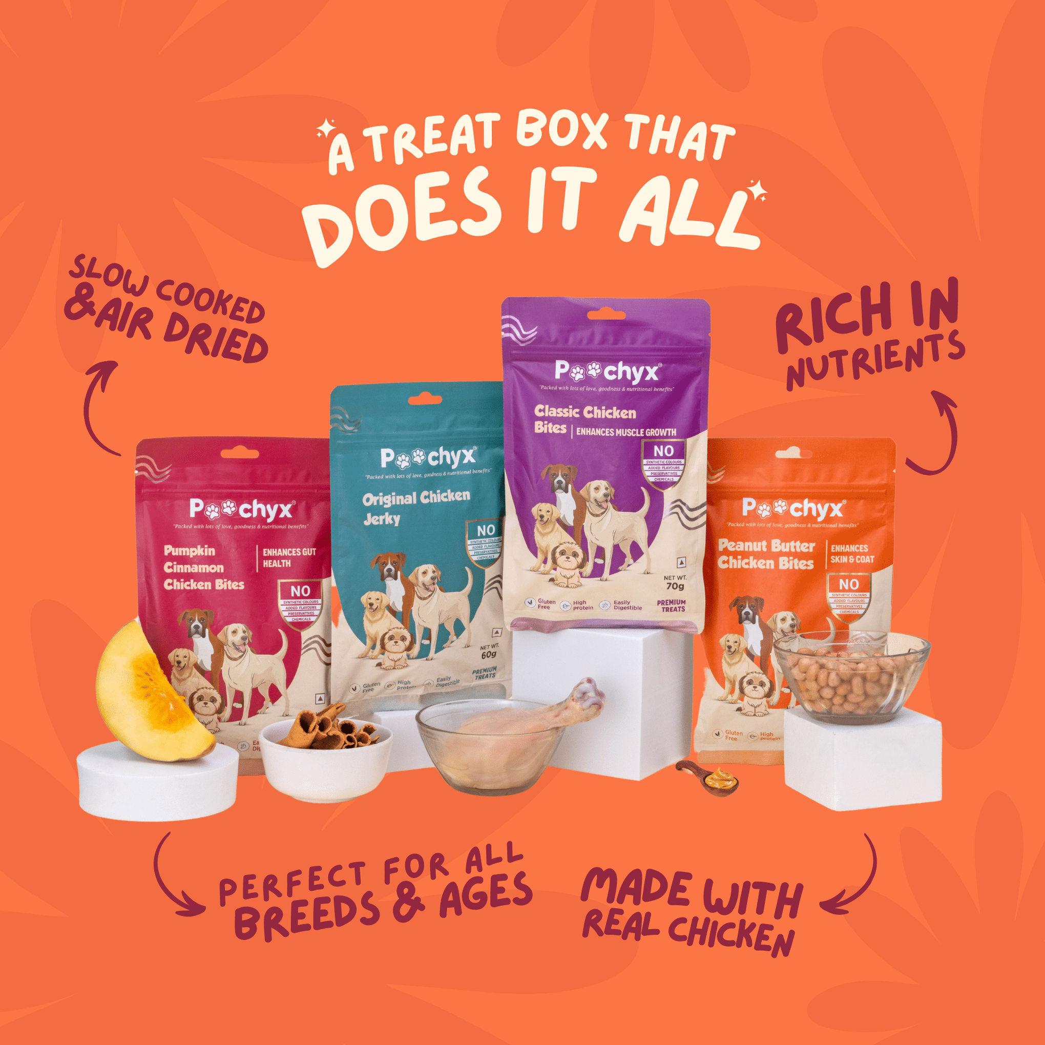 Barky Bite Box – The Ultimate Healthy Dog Treats! - Poochyx