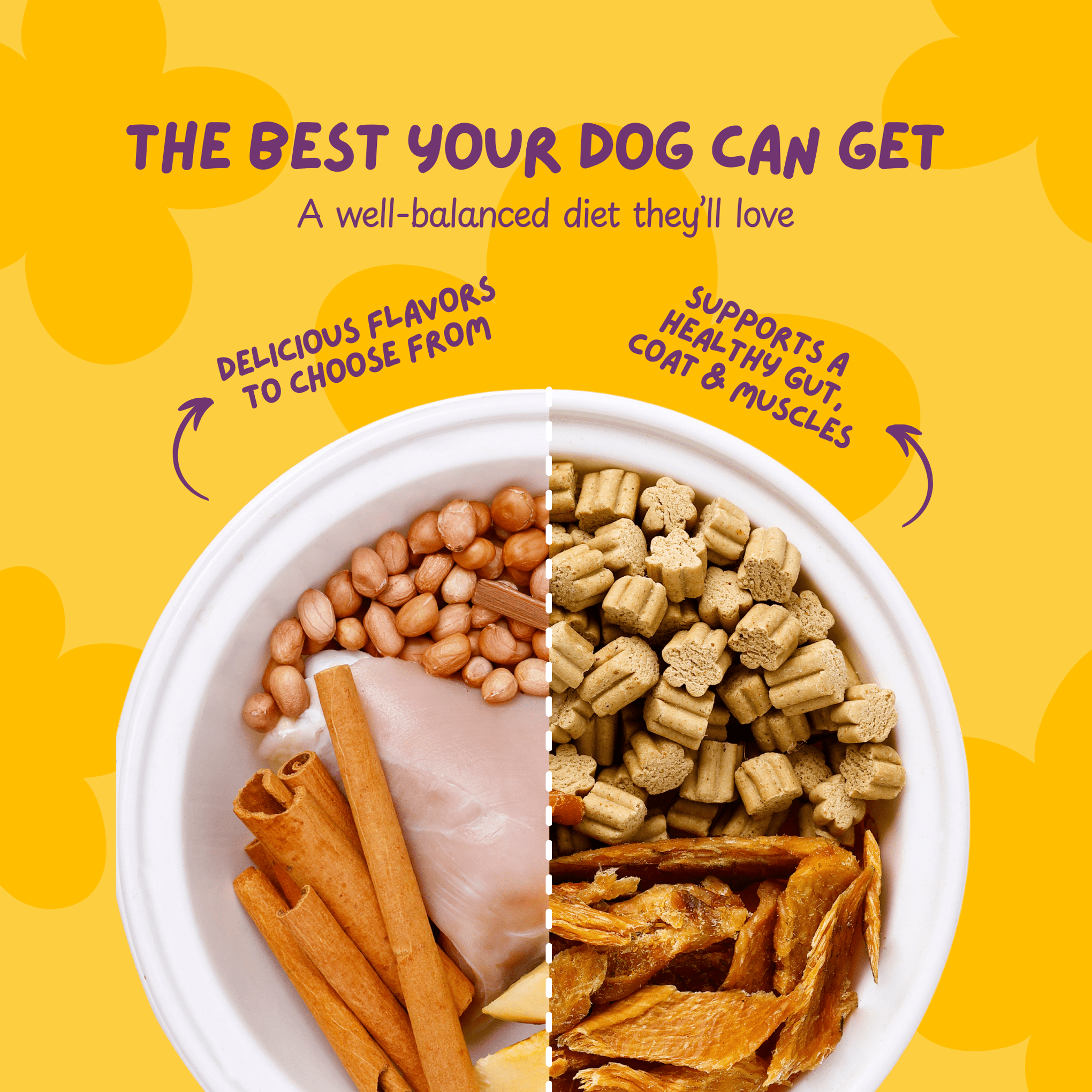 Barky Bite Box – The Ultimate Healthy Dog Treats! - Poochyx