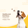 dog training treats Barky Bite Box