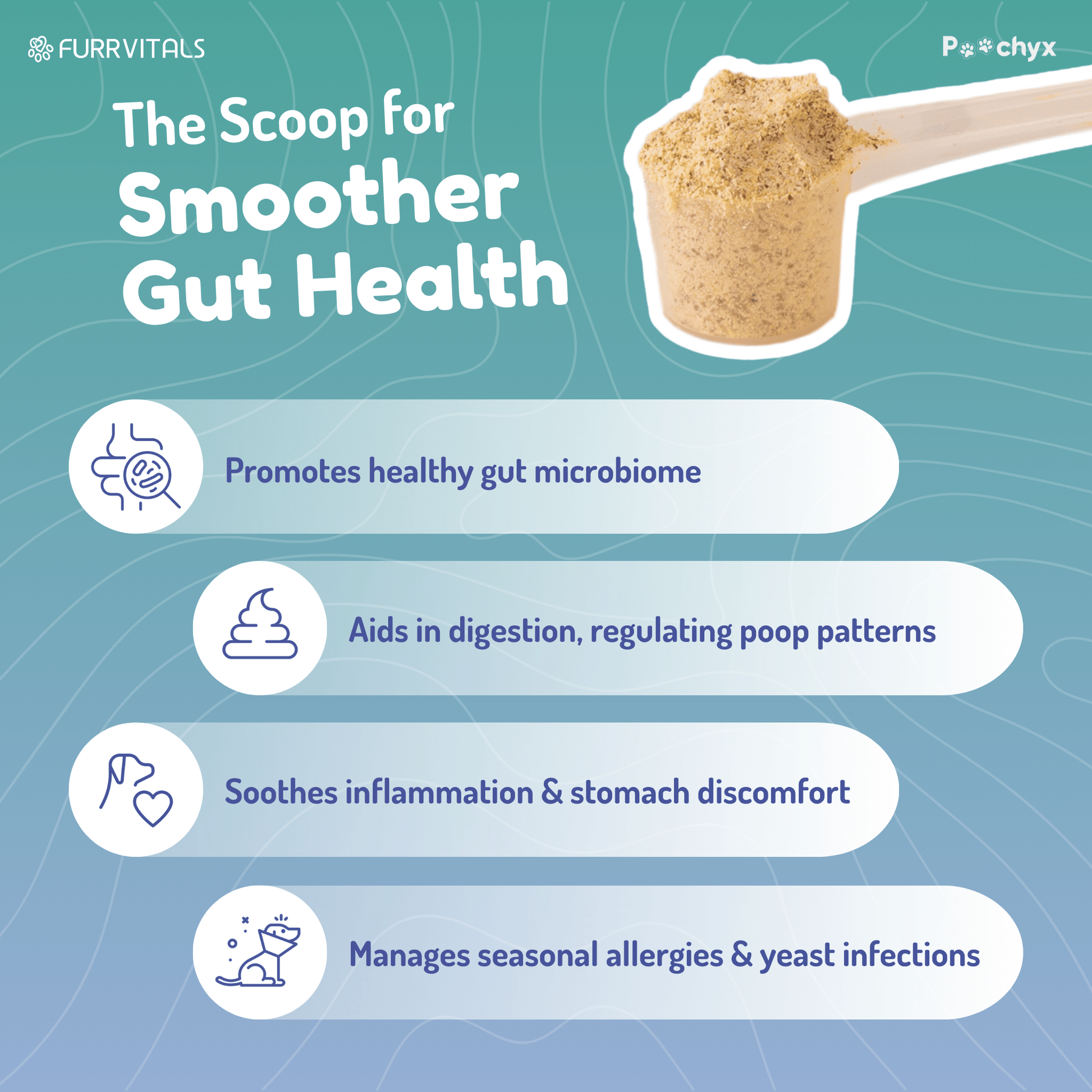 Good Guts - Pre & ProBiotic Supplements - Poochyx
