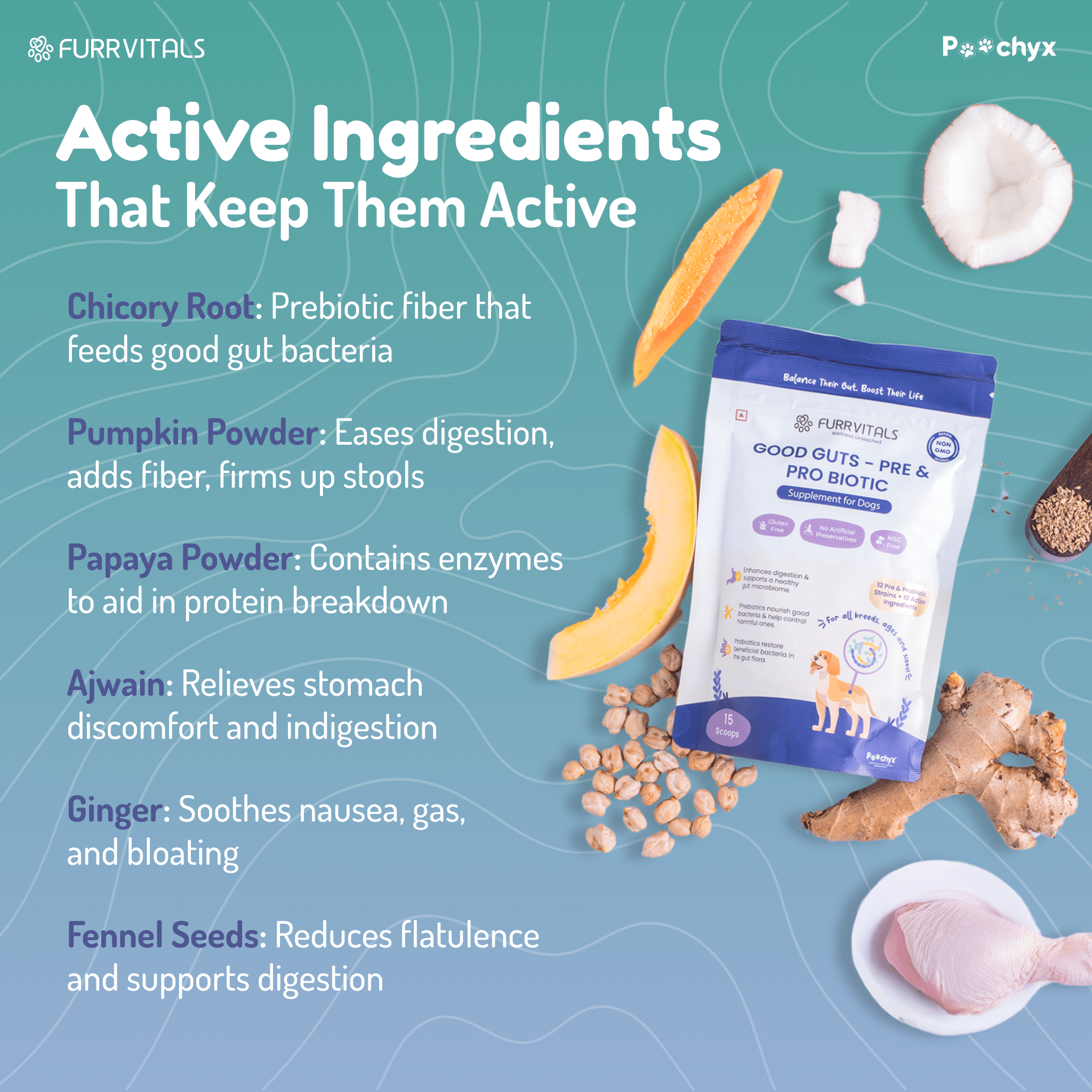 Good Guts - Pre & ProBiotic Supplements - Poochyx