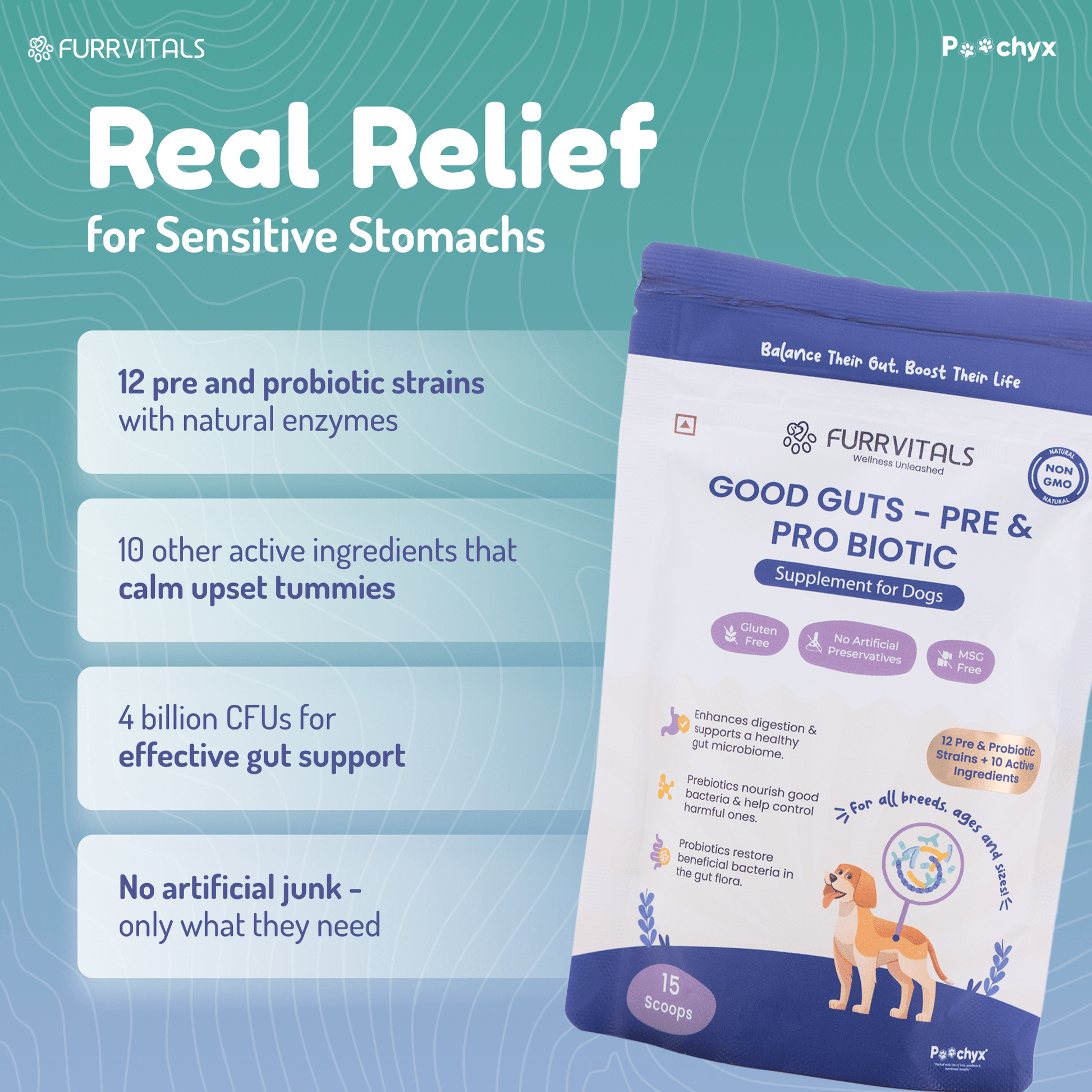 Good Guts - Pre & ProBiotic Supplements - Poochyx