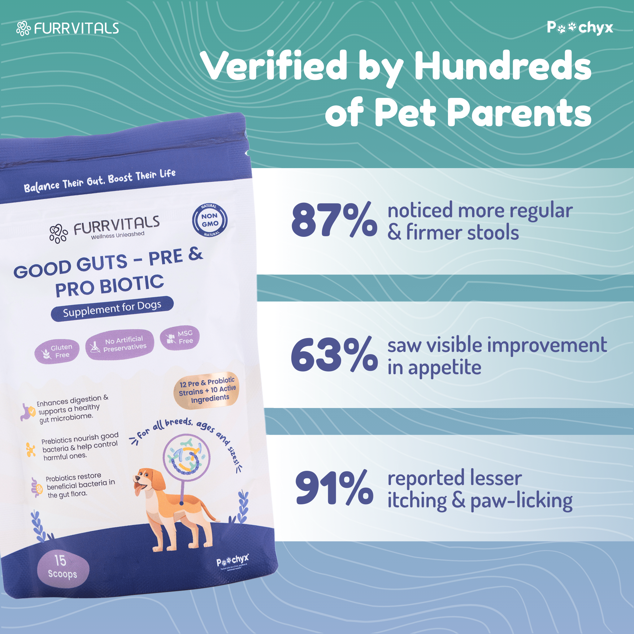 Good Guts - Pre & ProBiotic Supplements - Poochyx