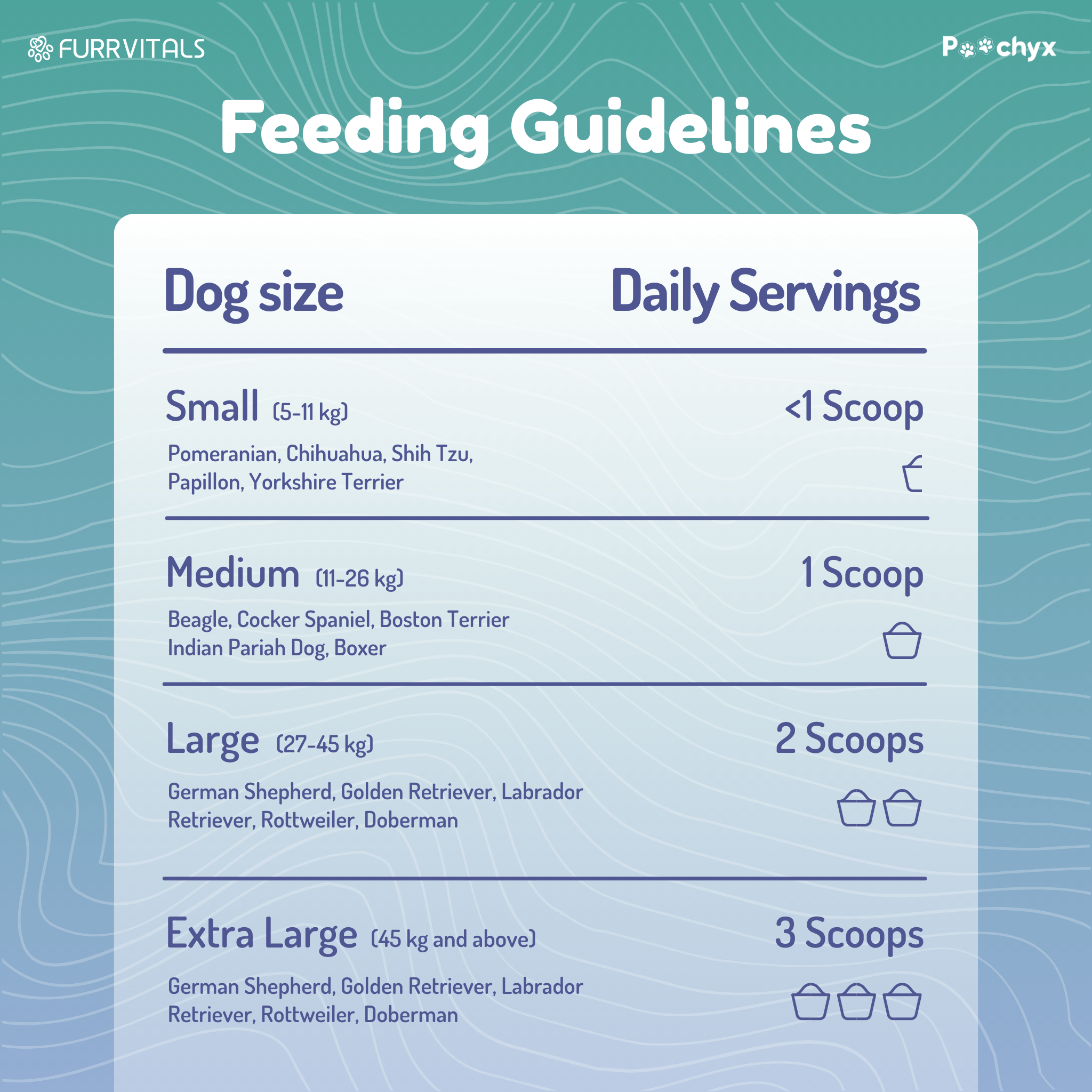 Good Guts - Pre & ProBiotic Supplements - Poochyx