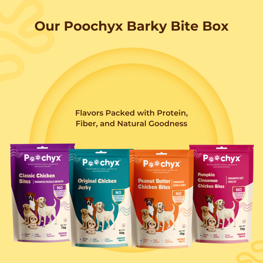 healthy natural dog treats barky bite box