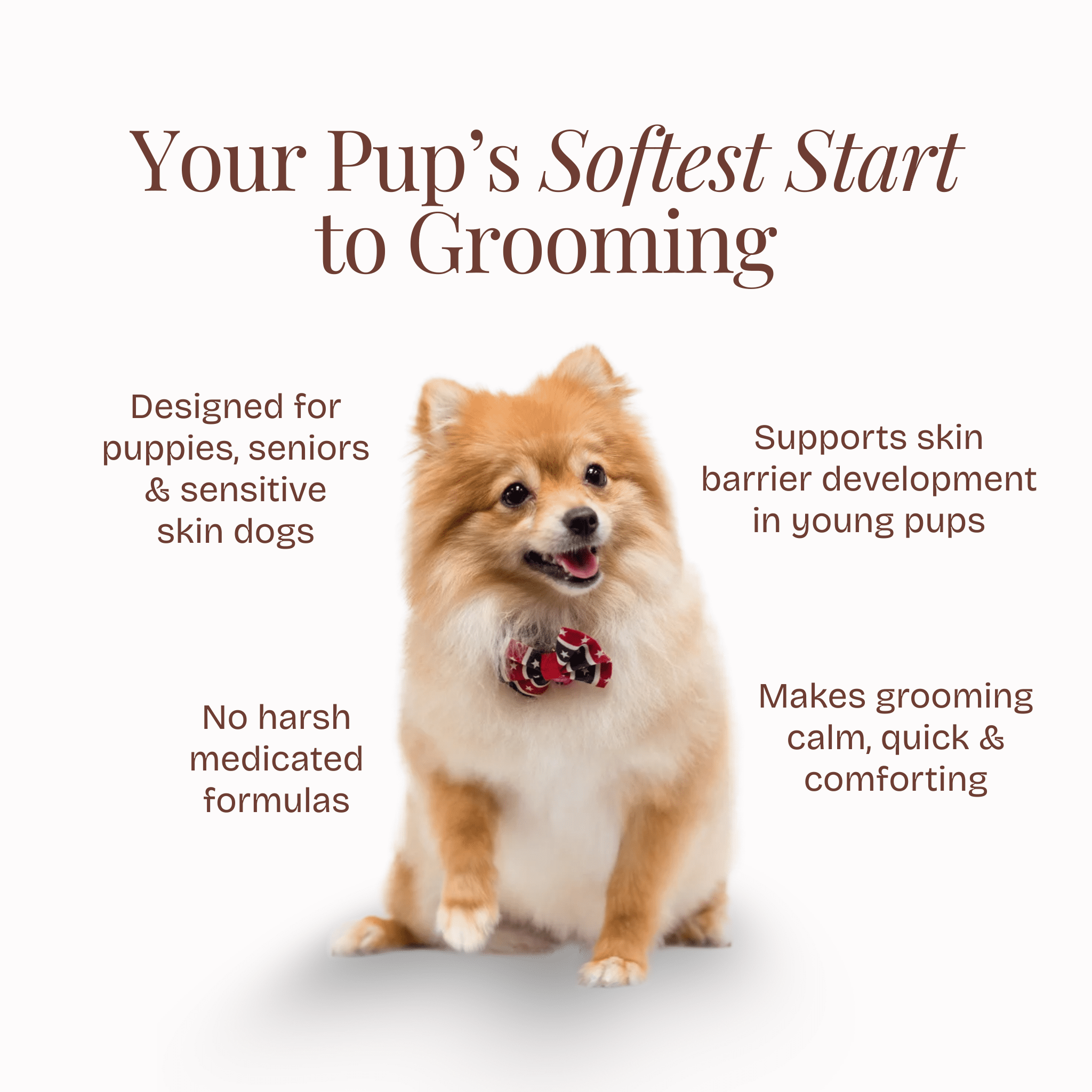 Itch Relief Care Kit - Poochyx