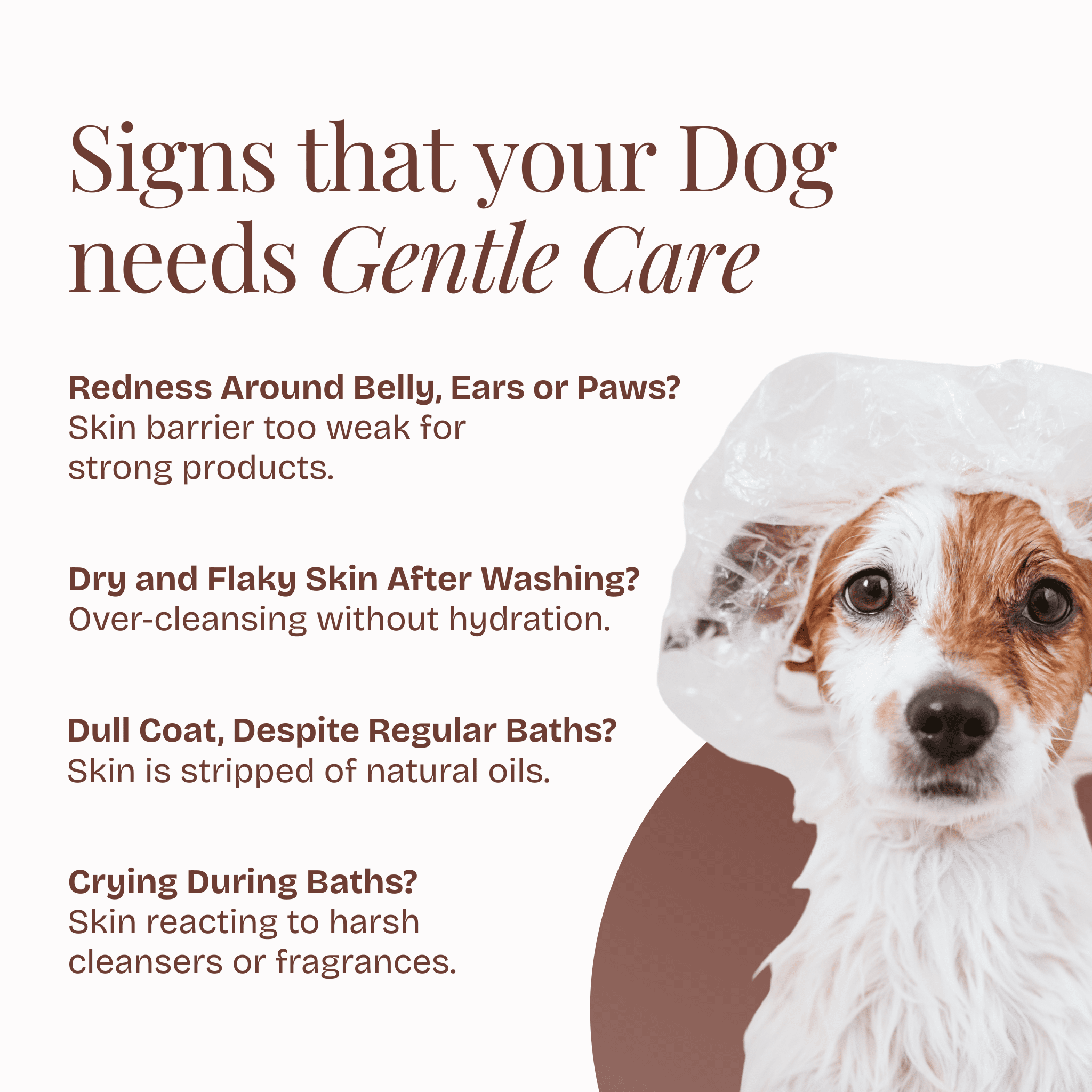 Itch Relief Care Kit - Poochyx