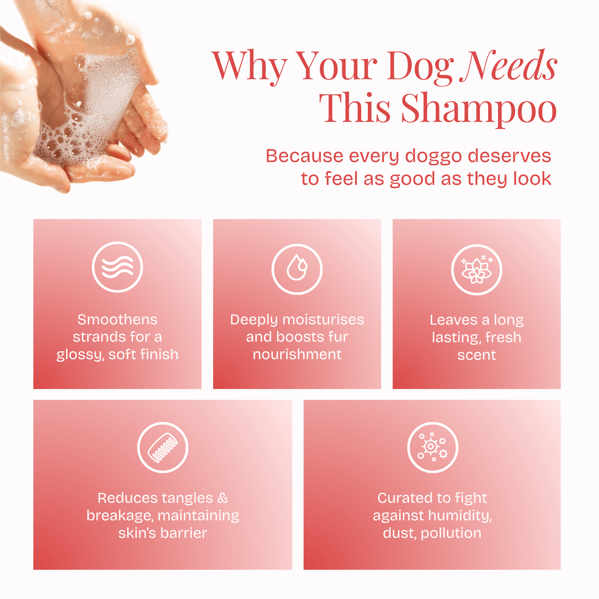Long & Radiant Coat Shampoo - Poochyx