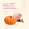poochyx digestive support healthy dog treats pumpkin cinnamon