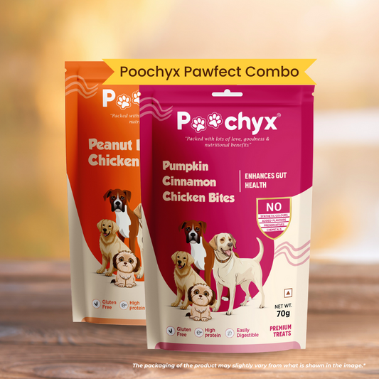 poochyx peanut butter and pumpkin cinnamon dog treats