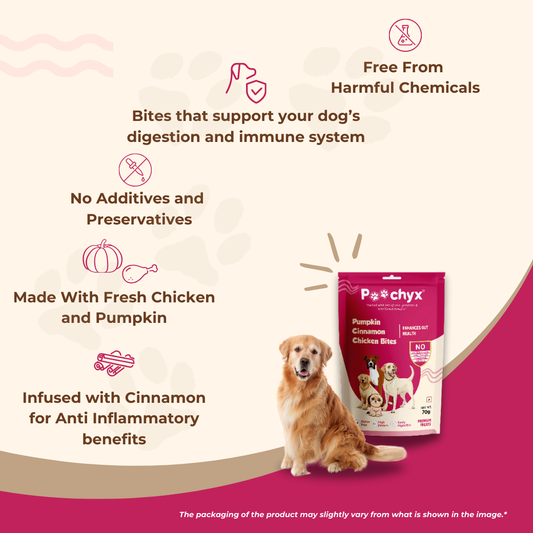 poochyx pumpkin cinnamon chicken bites natural dog snacks