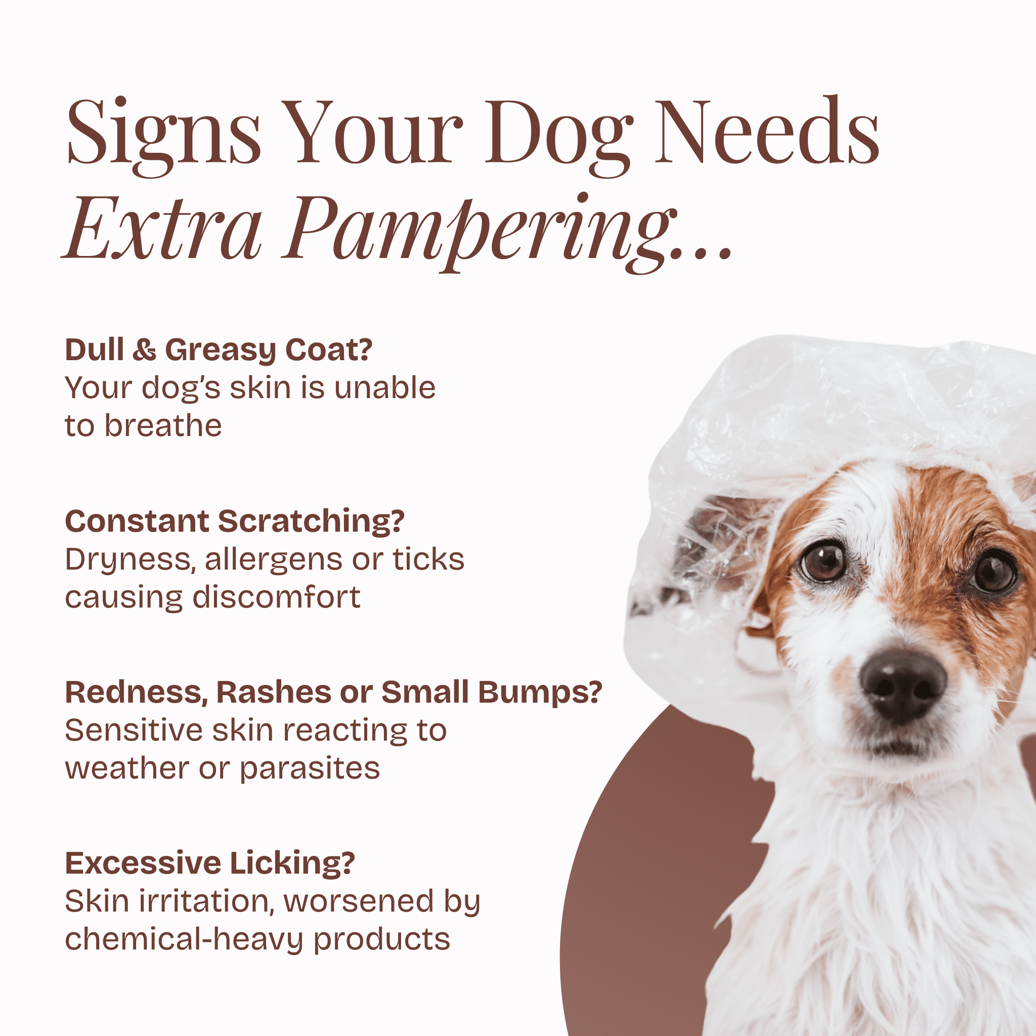 Soft & Shiny Coat Kit - Poochyx