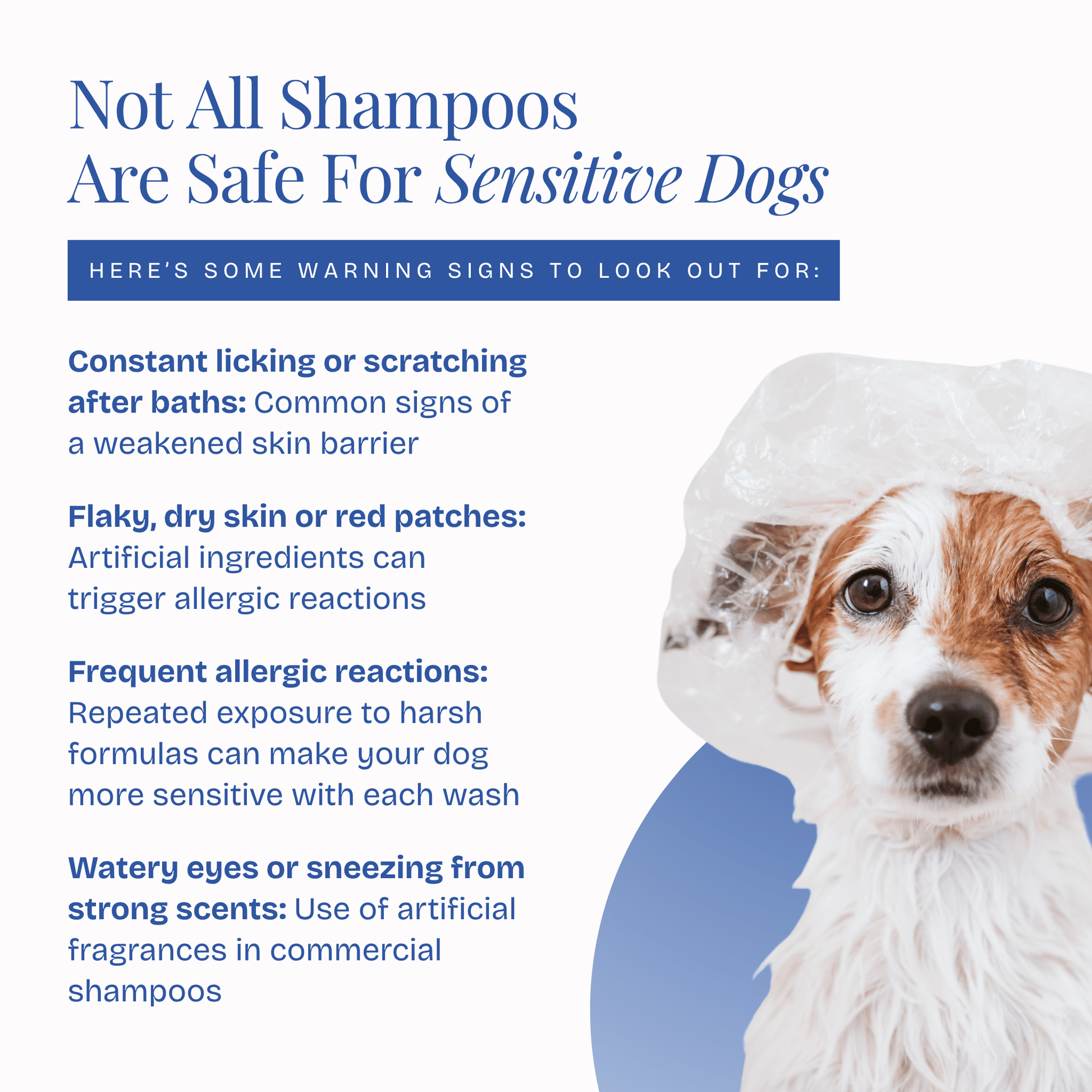 The Gentle Touch Shampoo - Poochyx