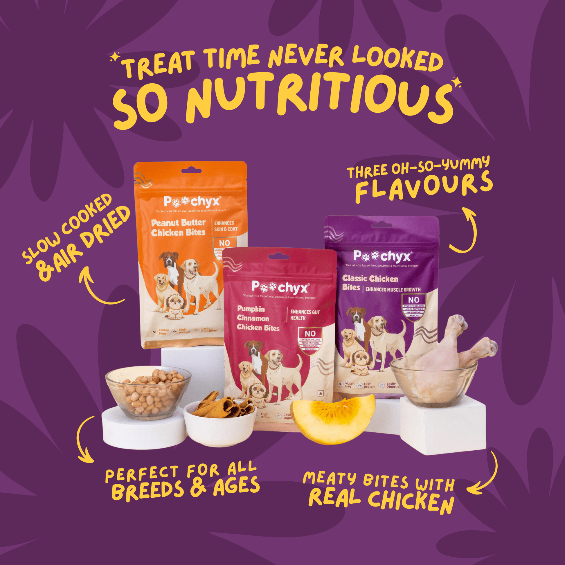 Treat Time Trio – 100% Natural Dog Treats - Poochyx